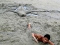 Szczęki viii na plaży