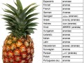 Ananas w różnych językach