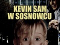 Kevin sam w Sosnowcu