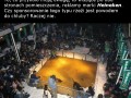 Heineken zły