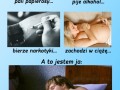 Moi rodzice powinni być dumni