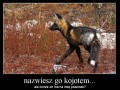 Pszemek