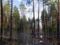Tapety na Pulpit - Bagno