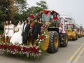 Do ślubu