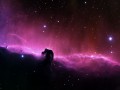 Tapety na Pulpit - Mglawcia Glowa Konia