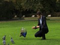 Uwaga, bakterie!