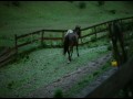 Promised Land   zwiastun (trailer)