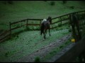 Promised Land  zwiastun (trailer)