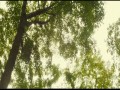 Nature Calls   zwiastun (trailer)