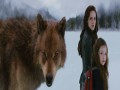 The Twilight Saga Breaking Dawn - Part 2  zwiastun (trailer)