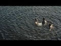 Mój rower  zwiastun (trailer)