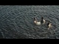 Mój rower   zwiastun (trailer)