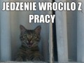 Głaskanie i jedzenie