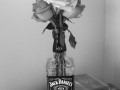Jack i kwiaty