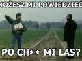 Nic śmiesznego po chuj mi las