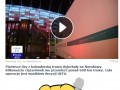 Holenderska trawa 