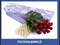 Fochołamacz