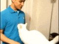 Cute kitty