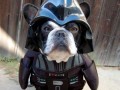 Vader