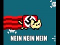 Nayan cat