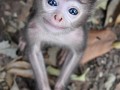 Cute 