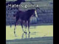 Haters gonna hate  