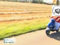 Born to be wild