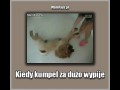 Kiedy kumpel za dużo wypije 