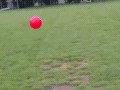 Fun fun fun