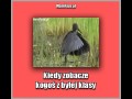 Kiedy zobaczę kogoś