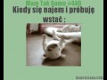 Mam tak samo  