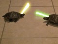 Żółw wars