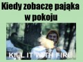 Pająk w pokoju