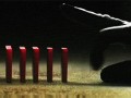 Domino