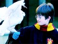 Harry