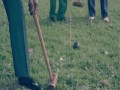 Solange Knowles - Losing You