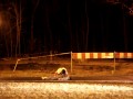 Zombie nocą