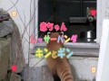 Reakcja pandy