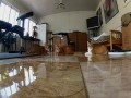 Cats vs. Laser