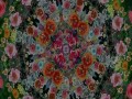 Sharp HD Demo True Colors 1080P