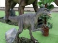 Dinozaury w Hipermarkecie