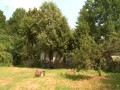 Chłopaki do wzięcia - nieudacznicy szukają kobiet