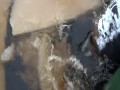 Lód? Woda? Błoto? To wjedzie wszędzie!