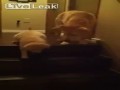 Pies uczy szczeniaka jak schodzić ze schodów