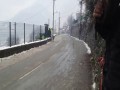 Wypadek Latvali - Rajd Monte Carlo 2013