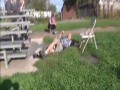 Kompilacja kaskaderskich porażek