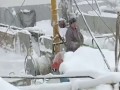 Na ratunek psu, który został uwięziony na krze