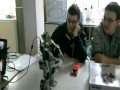Kung-Fu robot