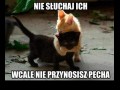 Nie słuchaj ich, wcale nie przynosisz pecha...