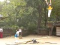 Koreańska huśtawka